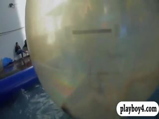 नग्न badass लड़कियों enjoyed पानी surfing साथ the समर्थक